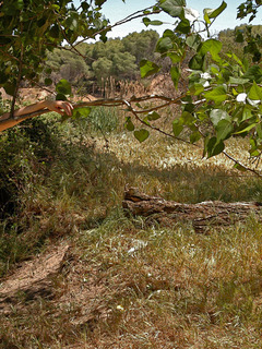 blonde naked queen in a Mediterranean landscape