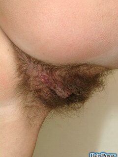 hairypussypics galleries blonde hairy pussy videos