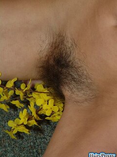 hairypussypics galleries hairy horny babes