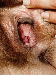 hairypussypics galleries hairy pussy cumshots