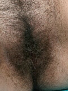 hairypussypics galleries very hairy porn