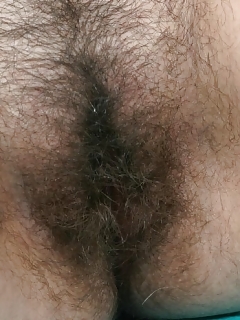 Hairypussypics Galleries Very Hairy Porn