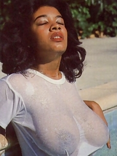 Classic Black Stars Ebony Gallery