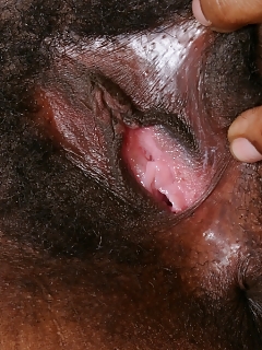 Miltie - Black Hunks - Atk Exotic